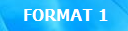 format 1